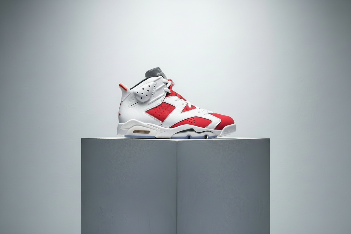 Air Jordan 6